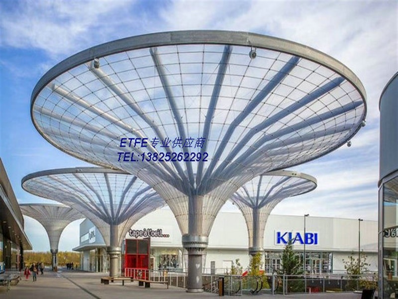 不锈钢和碳钢为什么不能接触？其依据和原因是什么？